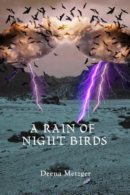 Libro A Rain Of Night Birds - Metzger, Deena