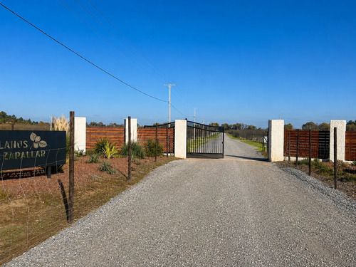 Parcela 5000m2 En Proyecto Los Avellanos, Zapallar, Curicó
