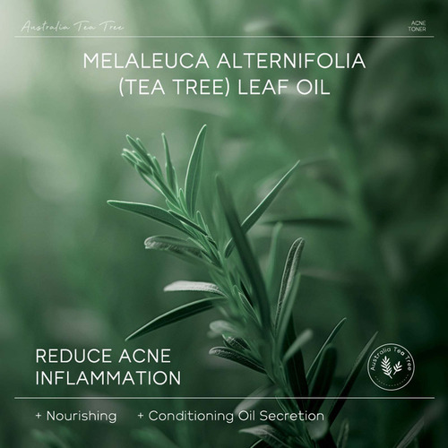 & Tónico De Árboles De Té Australiano Y, 100 Ml, Hidratante