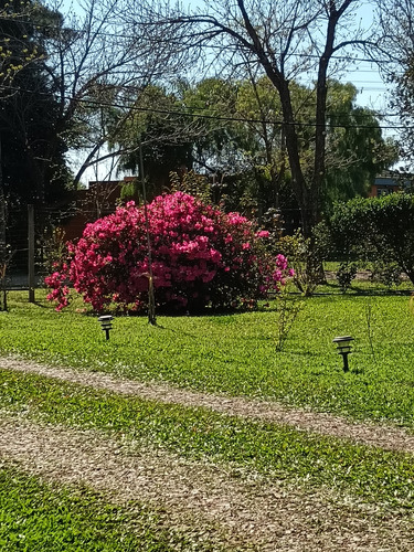 Disponible Turismo