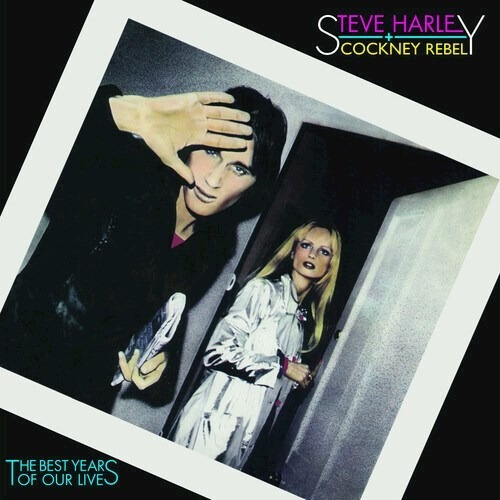 The Best Years Of Our Lives - Harley Steve (vinilo)