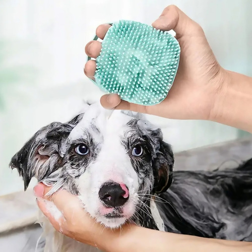 Set De Cepillo Para Bañar Perro + Par De Guantes Mágicos