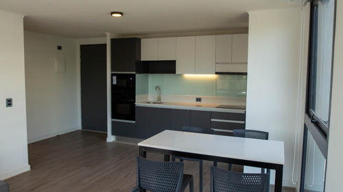 Se Arrienda Departamento Nuevo En Calle Ricardo Lyon Provide