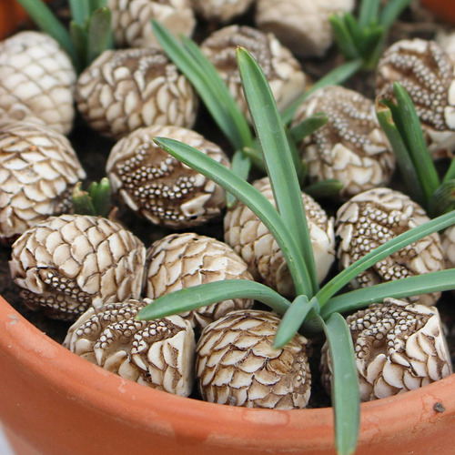 20 Piezas De Piedras Decorativas De Resina, Huevos De Mini