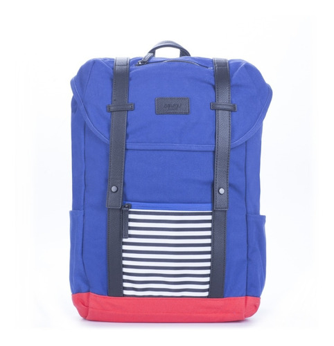 Mochila Portanotebook 15,6´´ Delsey Ardent (azul)