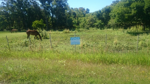 Imagen 1 de 1 de Punta Indio Terreno De 20 X 50.