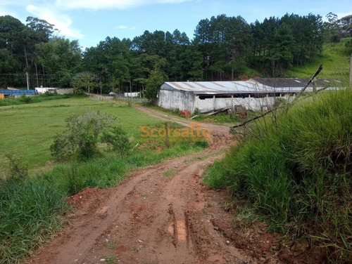 Imagem 2 de 12 de Área Comercial À Venda, Potuverá, Itapecerica Da Serra/sp. - 6263