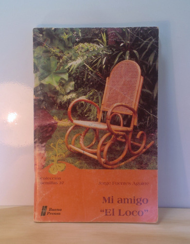 Libro Mi Amigo El Loco, Disponible 