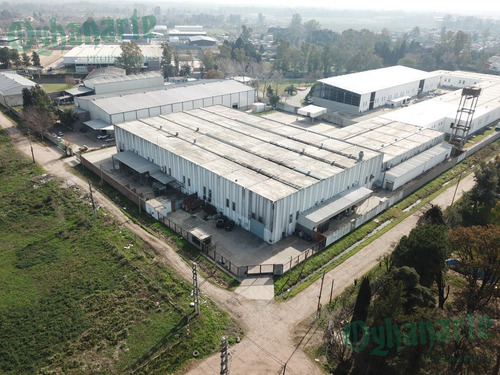 Imagen 1 de 22 de Alquiler De Depósito Industrial Con Gas - Prox Acceso Oeste