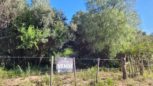 Imagen 25 de 27 de Oportunidad Hermoso Campo Productivo Las Tapias