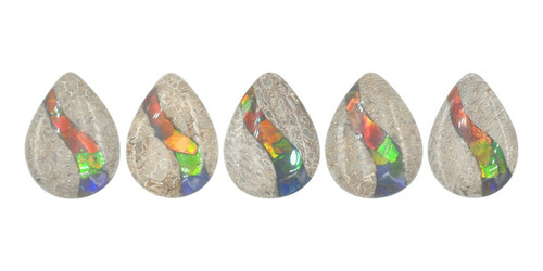 Hueso De Dinosaurio Fósil Cabujón Pera Con Ammolita 15x20mm