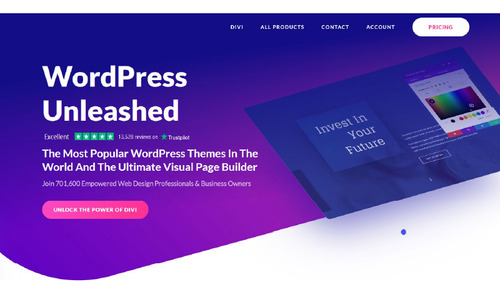 Divi (licencia + Builder) 2 Licencias Originales De Por Vida
