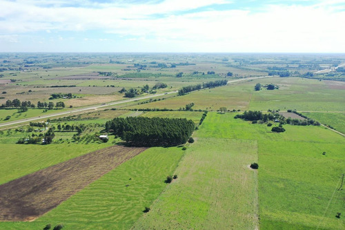 Imagen 7 de 30 de Campo Sobre Autopista Ruta 14 Colón Entre Ríos