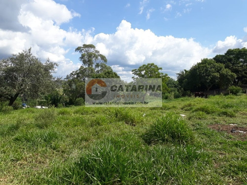 Imagem 6 de 6 de Lindíssimo Terreno!