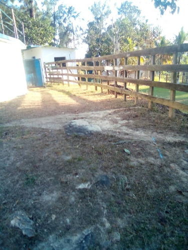 Imagen 6 de 10 de En Venta Finca Agricola-ganadera En Estado Carabobo. Ma