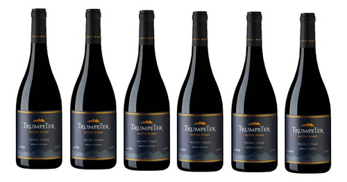 Vinho Rutini Syrah 750 ml em um estojo de papelão