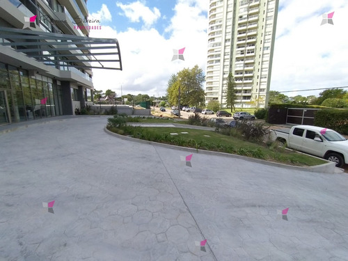 Apartamento En Alquiler Anual Zona De Roosevelt- Ref: 9813