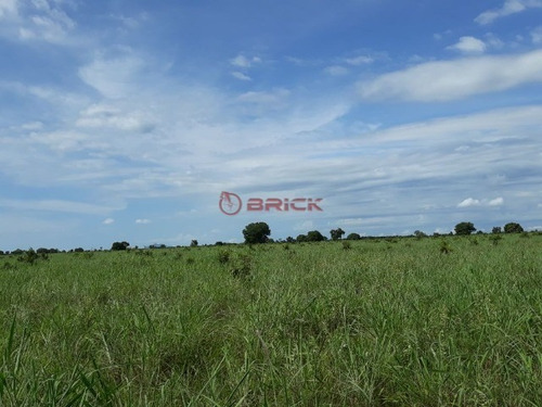 Imagem 16 de 19 de Fazenda Com 2.723 Mil Hectares No Vale Do Araguaia, Região Alvorada/araguaçu,to - Fa00021 - 69448081