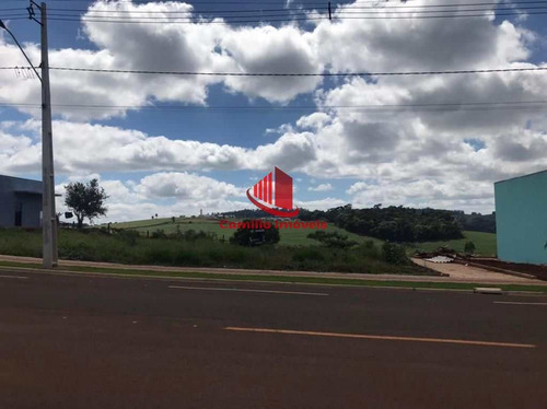 Imagem 7 de 8 de Terreno, Autódromo, Chapecó - R$ 185 Mil, - V1718