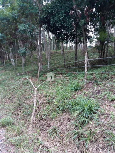Imagem 15 de 25 de Terreno, Dos Neves (caucaia Do Alto), Cotia - R$ 75 Mil, Cod: 4255 - V4255