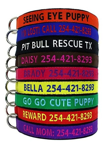 Personalizados Bordados Collar De Perro - Texto