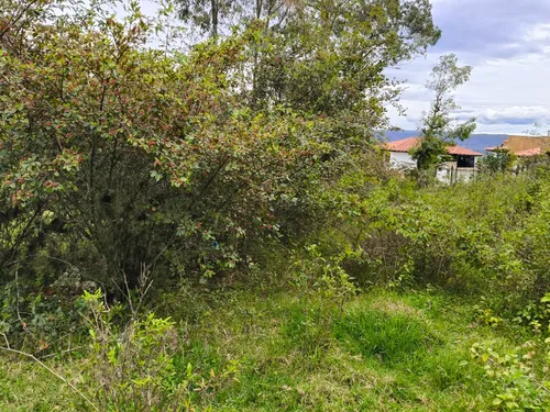 Lote En Sector Suburbano