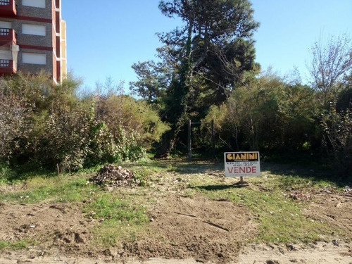 Imagen 1 de 3 de Lote | Av 2 Al 2500