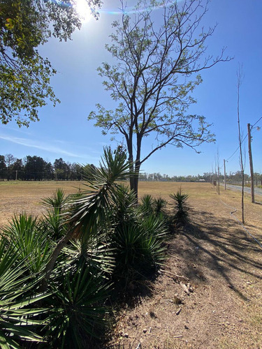 Terreno En Mariano Acosta