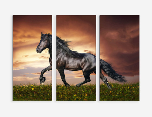 Set De 3 Cuadros Canvas Caballo Negro Atardecer 90x130cm