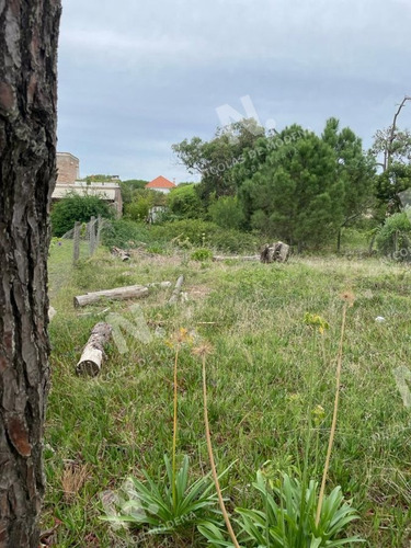 Imagen 2 de 5 de Terreno En Montoya - La Barra Montoya