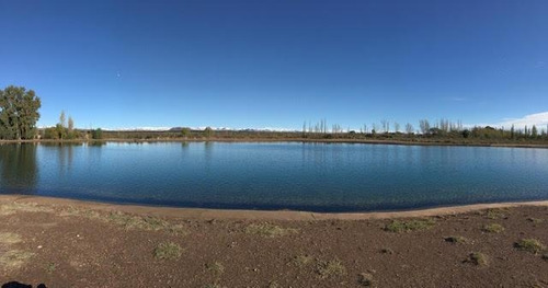 Imagen 7 de 10 de Finca 96 Ha En Venta- Cuadro Benegas -san Rafael- Mendoza