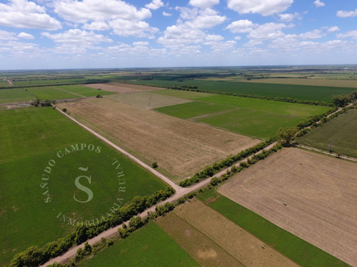 Campo Agrícola Suelo 1. Dto. Castellanos, Santa Fe.