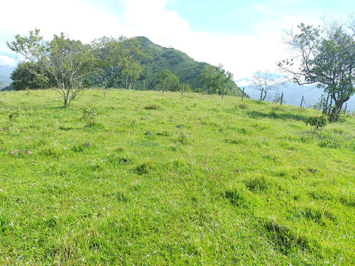 Lote En Venta En San Jeronimo, Antioquia