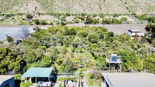 Agrícola En Venta En Vicuña