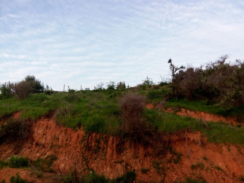 Se Vender Hermosa Parcela De 5000mts2 En Limache