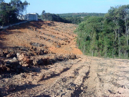 Imagem 3 de 3 de Terreno A Venda No Bairro Do Pinhal - Itatiba/sp. - Te01311 - 69536804