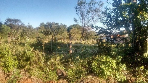 Imagem 4 de 5 de Venda De Rural / Chácara Na Cidade De Araraquara 7120