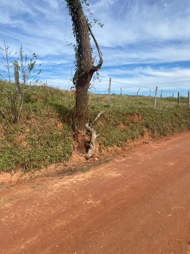 Imagem 2 de 11 de M07 Lindos Terrenos De 1000m Em Santa Isabel A Venda