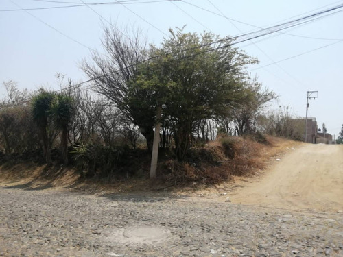 Terreno En Ayutla Jalisco