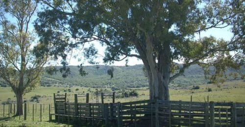 Campo En Cerros Del Penitente Ref. 2509