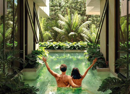 Koom Tulum: Luxury Departamento En Venta En Tulum, Un Oasis En La Naturaleza
