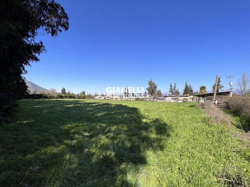 Parcela 5.000 M² - Las Puertas De Fierro - Carampangue