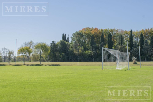 Imagen 4 de 11 de Lote En Venta En Área 2 En San Sebastián, Interno.