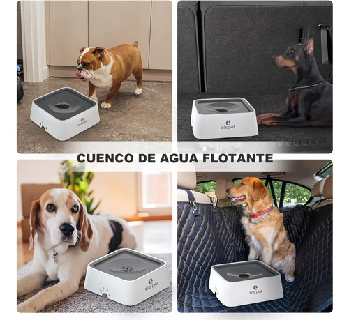 Bebedero Para Mascotas Antiderrame De 2 Lts Tazón Perros