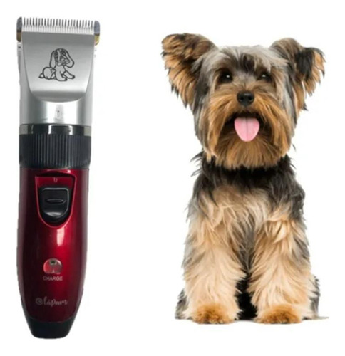 Máquina Tosa Cães E Gatos Bivolt Com Acessórios Fzf-270a