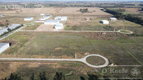 Lote Industrial En Venta Parque Industrial General Rodriguez - Zona Oeste - 2578 M2