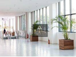 Imagem 10 de 14 de Excelente Sala Para Locação Com 60 M² No Edifício Complexo Madeira Em Alphaville Confira! - Sa0612