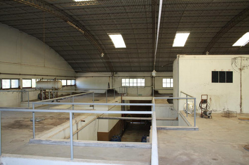 Bodega - Mendoza