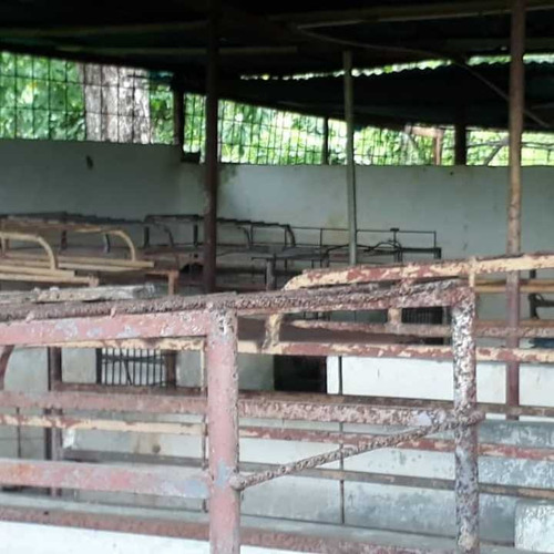 Imagen 14 de 14 de Finca Productiva Para Cria De Porcinos En Parapara De Ortiz