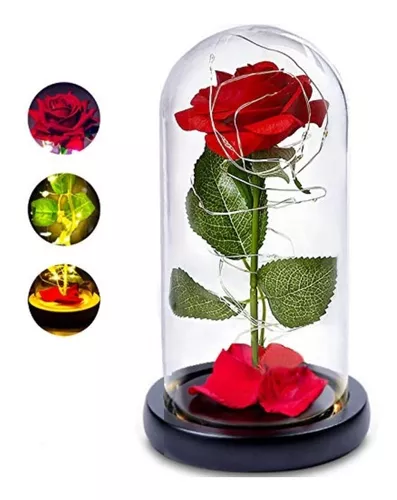 Flores Artificiales Rosa Eterna Con Luces Led Cupula Vidrio